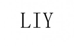 liy是什么（liy是什么牌子）