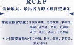 什么叫RCEP的建立意义（rcep的含义）