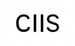 CIIS什么意思（ciis是什么意思）