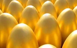 金蛋是什么（金蛋是什么材质做的）