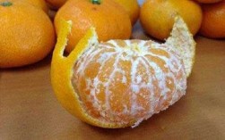 橘子白条是什么意思（橘子白线叫什么）