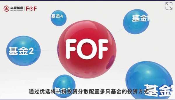 基金组合FOF是什么（fof和组合基金）-图2