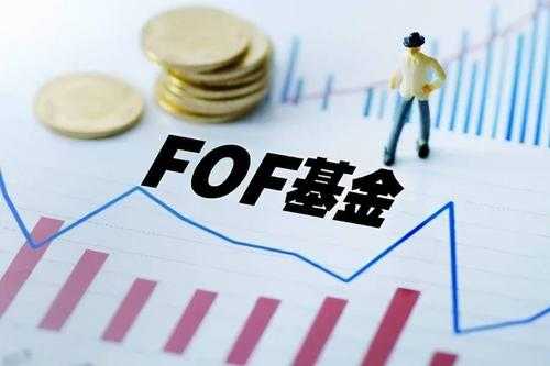 基金组合FOF是什么（fof和组合基金）-图1