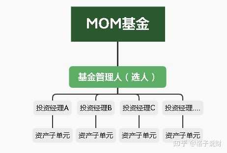 MOM是什么资金（mom 资金）-图1