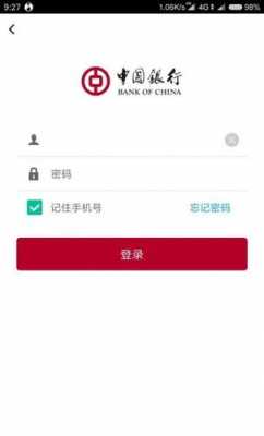 中国银行查询密码是什么（中国银行查询密码是什么密码）-图3
