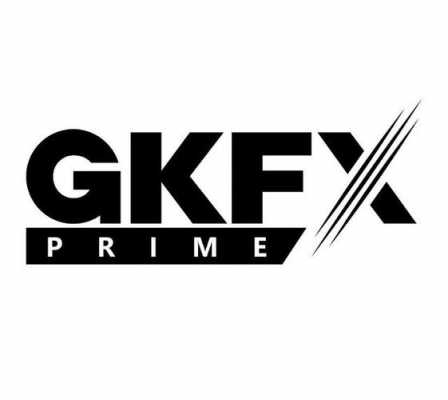 gkfx是什么平台（gkfx是真的吗）-图1